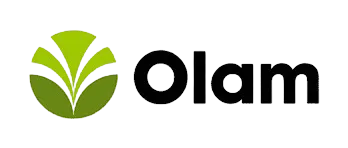 Olam